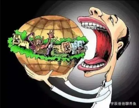 不要让它们失去最后身影,面对食用野生动物,我们必须说"no"!