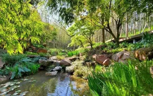 麓湖生态城动态:麓湖红石公园-成都安居客