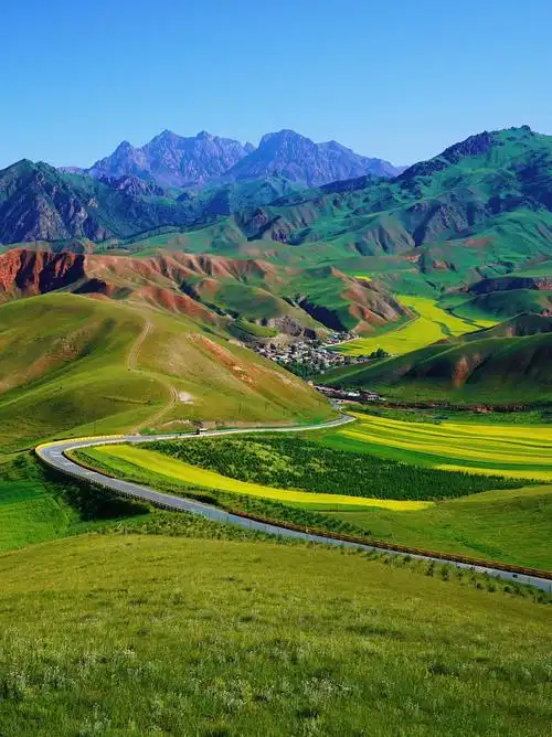 甘肃青海环线位于青海的祁连山草原曾是游牧民族的放牧之地,一质乔