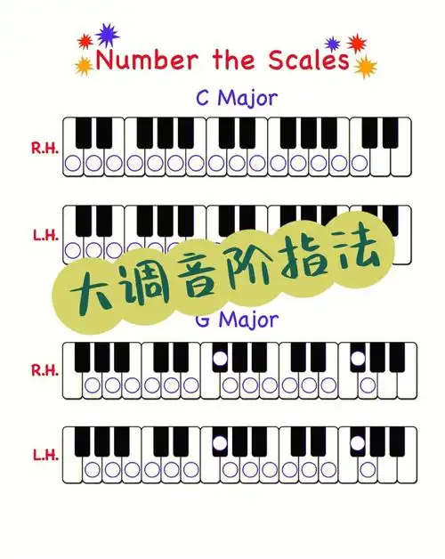 资源056大调音阶指法默写