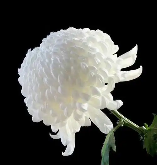 故园之恋02:怀念奶奶