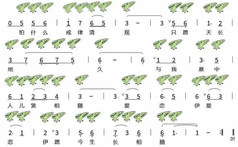 十二孔陶笛曲谱女儿情