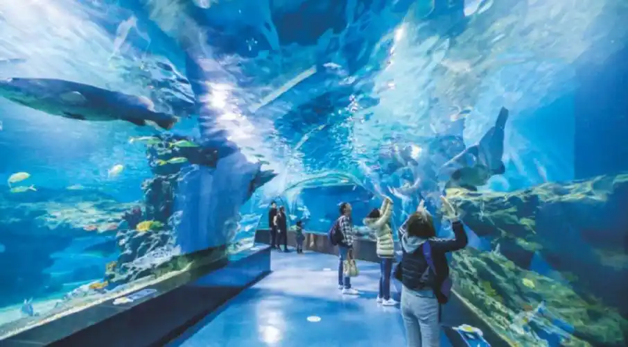 梦寻三亚职就海昌三亚海昌梦幻海洋不夜城专场招聘会