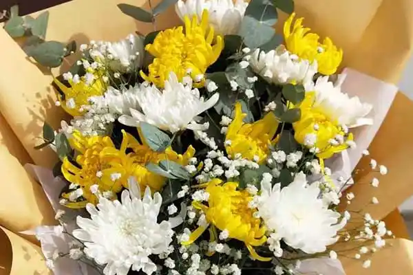 清明节寄托哀思的花束主要是以菊花为主,菊花主要有白色和黄色两种