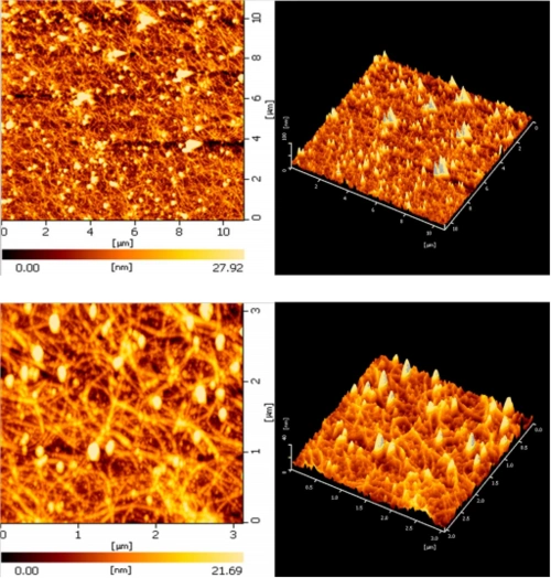 原子力显微镜实验