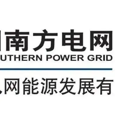 招贤纳士!南方电网公司系统单位选聘一级职业经理人