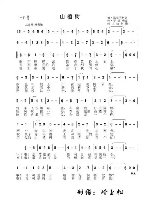 山楂树简谱图片