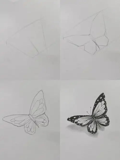 素描  #零基础学画画  #绘画  #素描蝴蝶  #蝴蝶  #画画