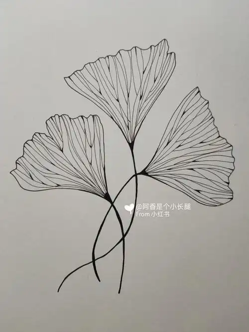 临摹线条画装饰画简笔画附带过程
