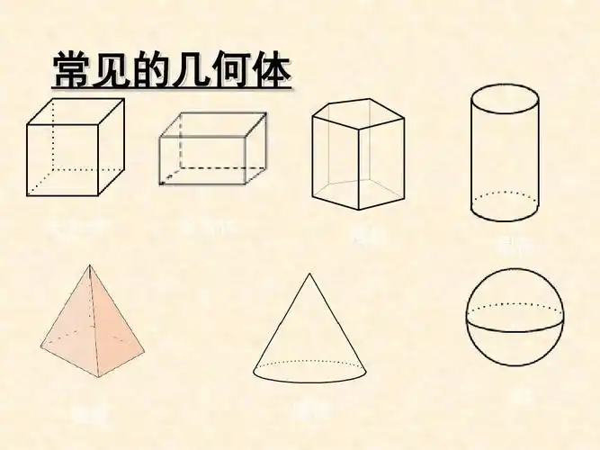鲁教版数学六年级上册1.1生活中的立体图形2ppt