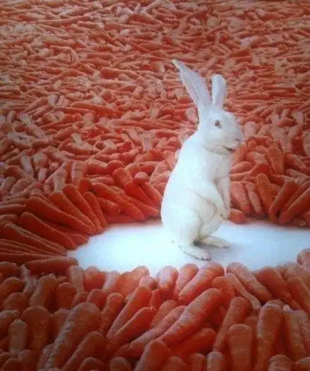 幸福来得太突然