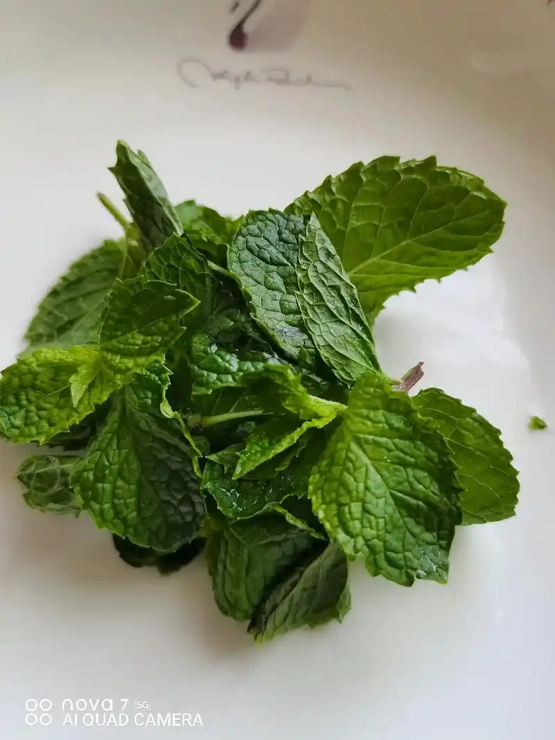 十香菜蒜汁捞面条,味道太美了.