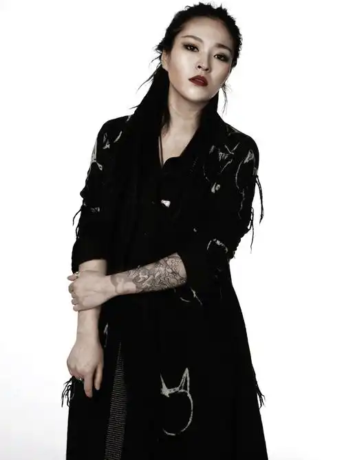 中国好声音第二季 毕夏