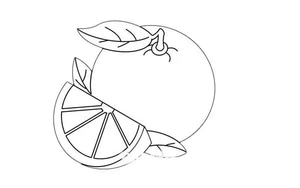 橙子简笔画步骤图解教程