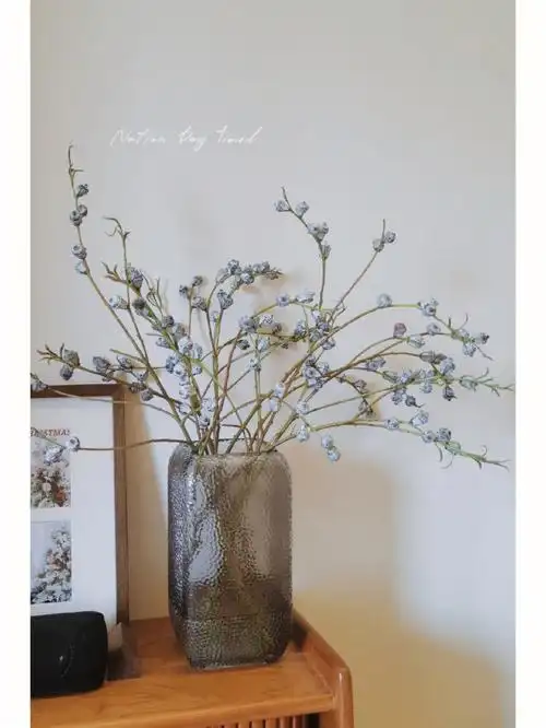 十分适合夏日的尤加利果