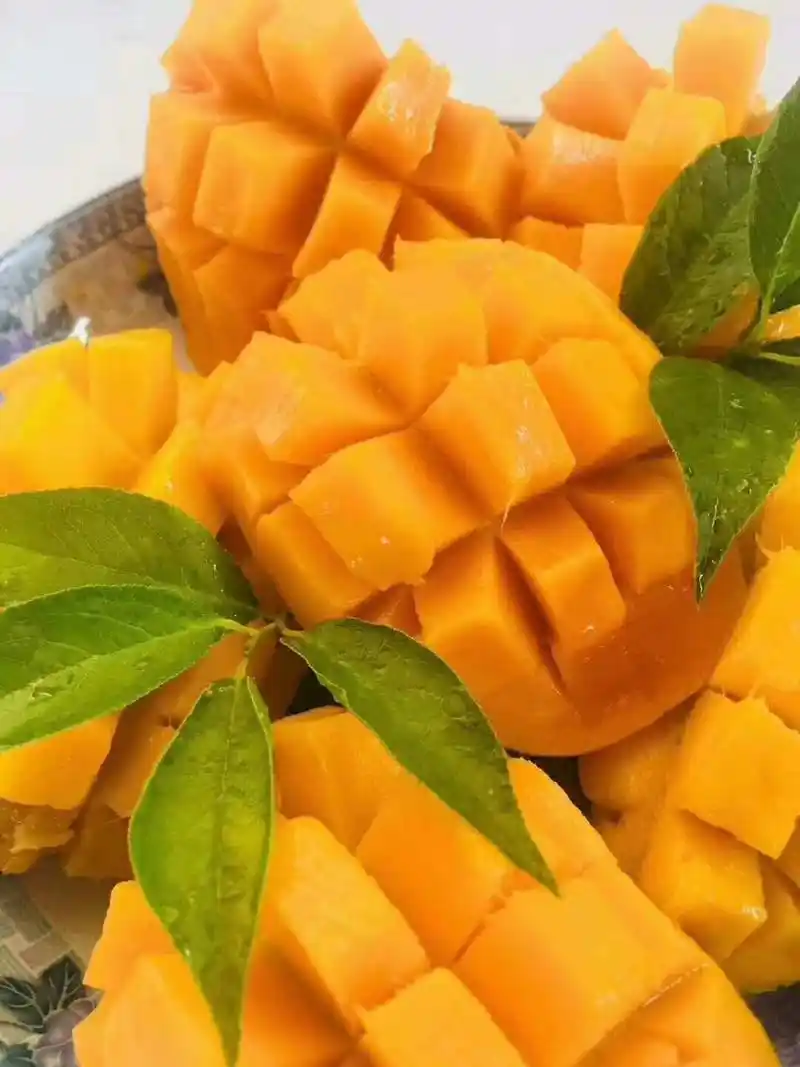 缅甸圣德龙芒果普果160元一件三十斤全国大部分省市.