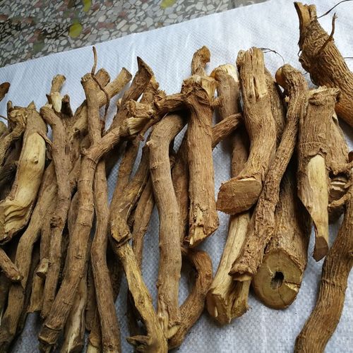 伟博黄花倒水莲药材野生倒吊黄根黄花大远志观音串倒吊王黄花参500克