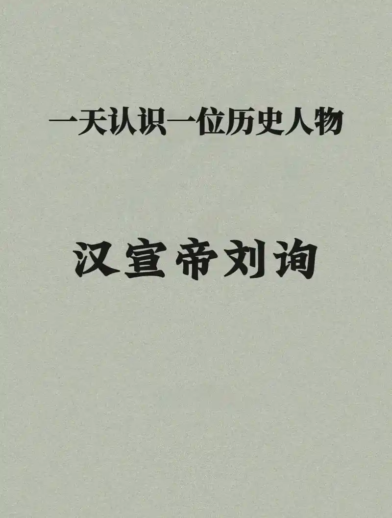 一天认识一位历史人物:汉宣帝刘询.#历史故事 #历史知多少  - 抖音