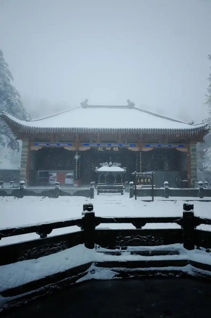 何时杖尔看南雪,我与梅花两白头.#雪 #摄影 #每一帧都是热 - 抖音