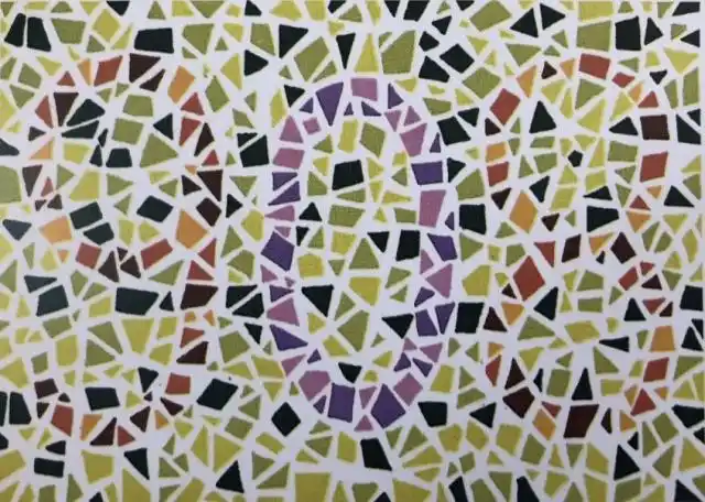 驾照体检常见的4张色盲测试图,你看清几张?有人一张也看不出来