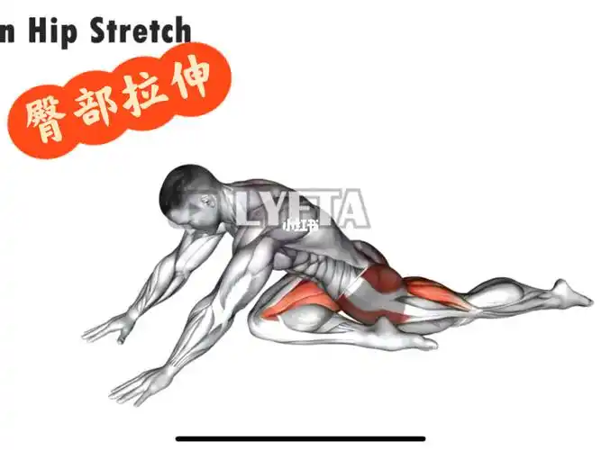 臀部拉伸的经典动作