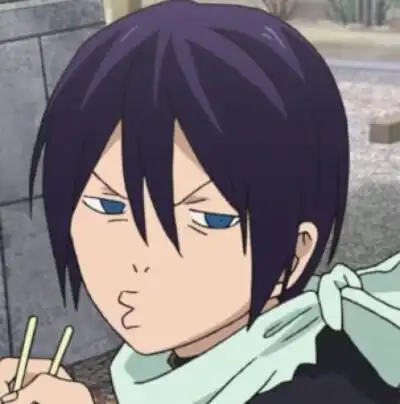 野良神 夜斗表情包