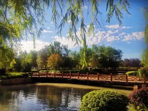 石河子景观河夏日别样风情一览!