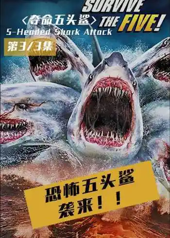 恐怖五头鲨鱼袭来,鲨鱼猎手对战五头鲨!