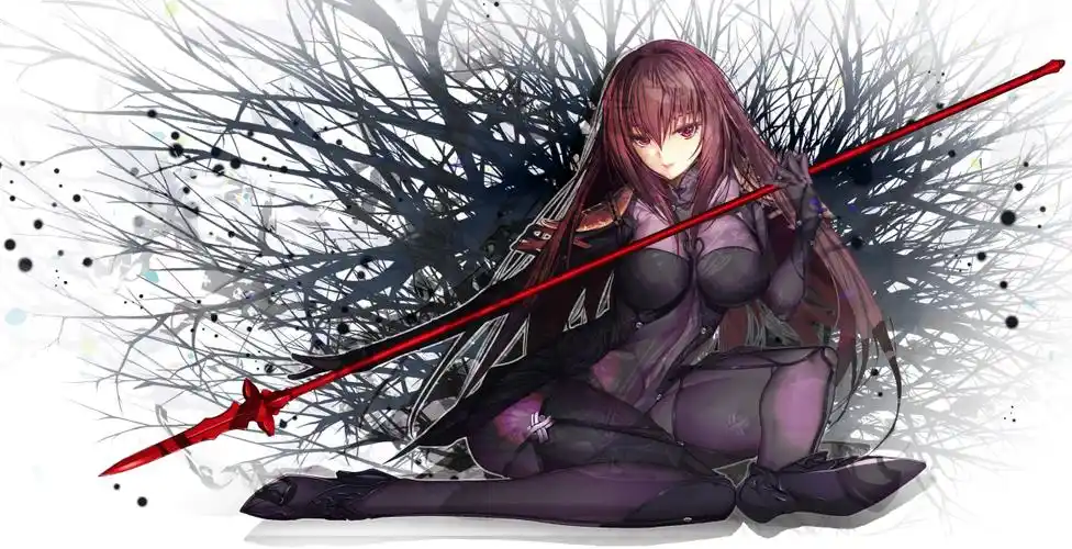 影子国的女王fate斯卡哈命运冠位指定