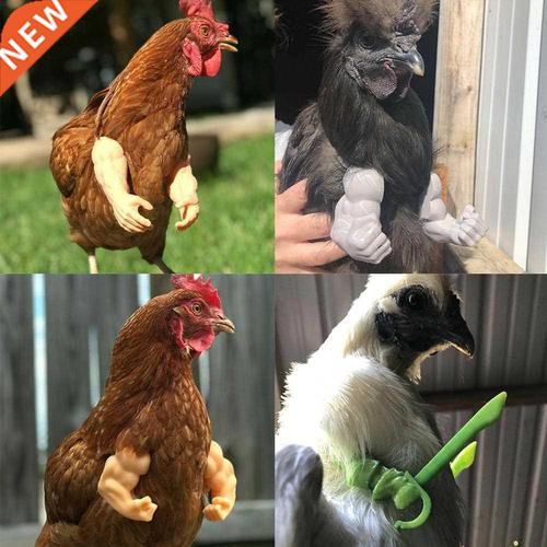 new chicken chicken arms funny decoration suitable for