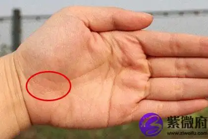 女子右手坎宫有三角纹图片是怎样的