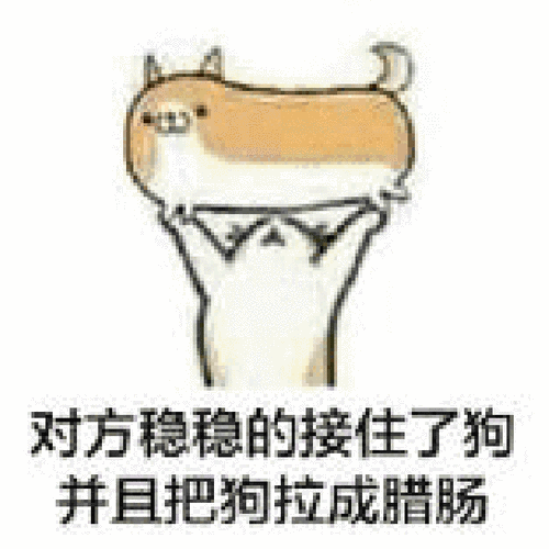 对方稳稳地接住了狗并且把狗拉成腊肠gif动图_动态图_表情包下载_soo