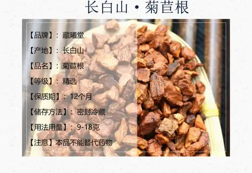 藏曦堂菊苣根 中药材 长白山菊苣根 可搭配栀子泡水