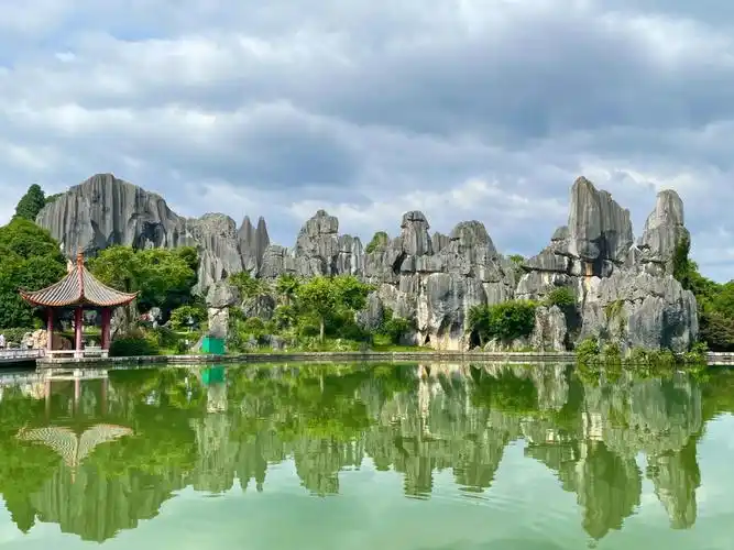 云南昆明石林风景区78很好