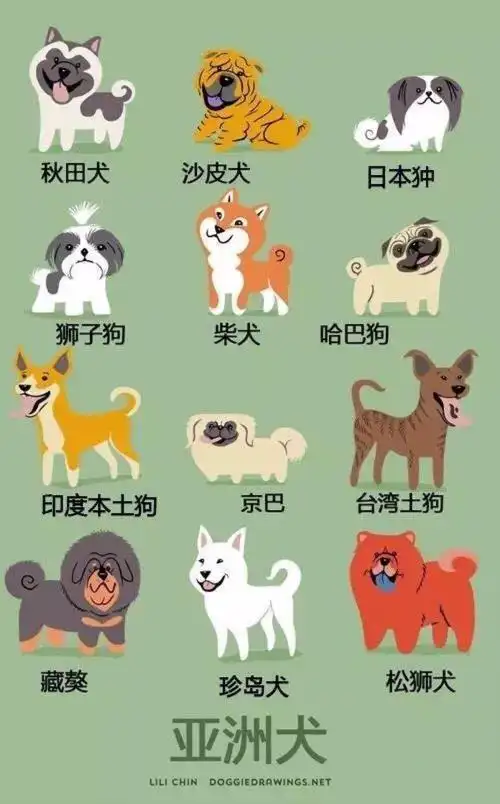 狗的种类