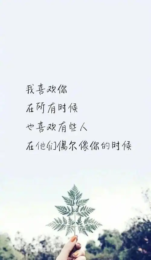 关于友情的唯美句子关于友情的唯美句子和优美文字