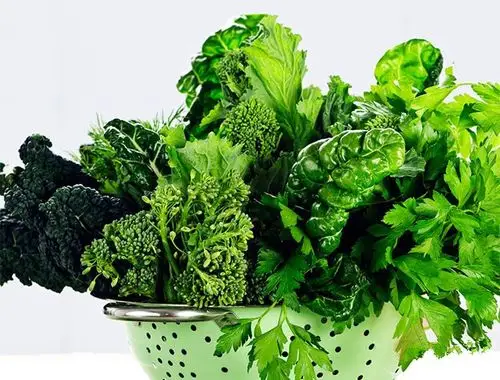 叶菜类分类(6类):蔬菜:是维生素和矿物质的主要来源09132020-04-25 14