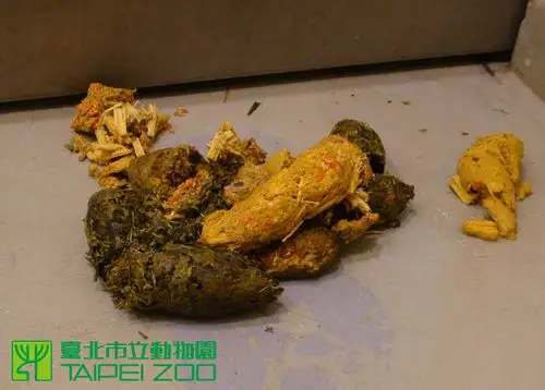 你清醒了吗?「圆仔」介绍各种便便形态