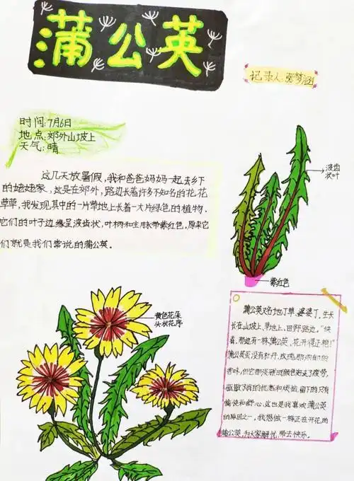 生物多样性看山西自然笔记大赛作品展四