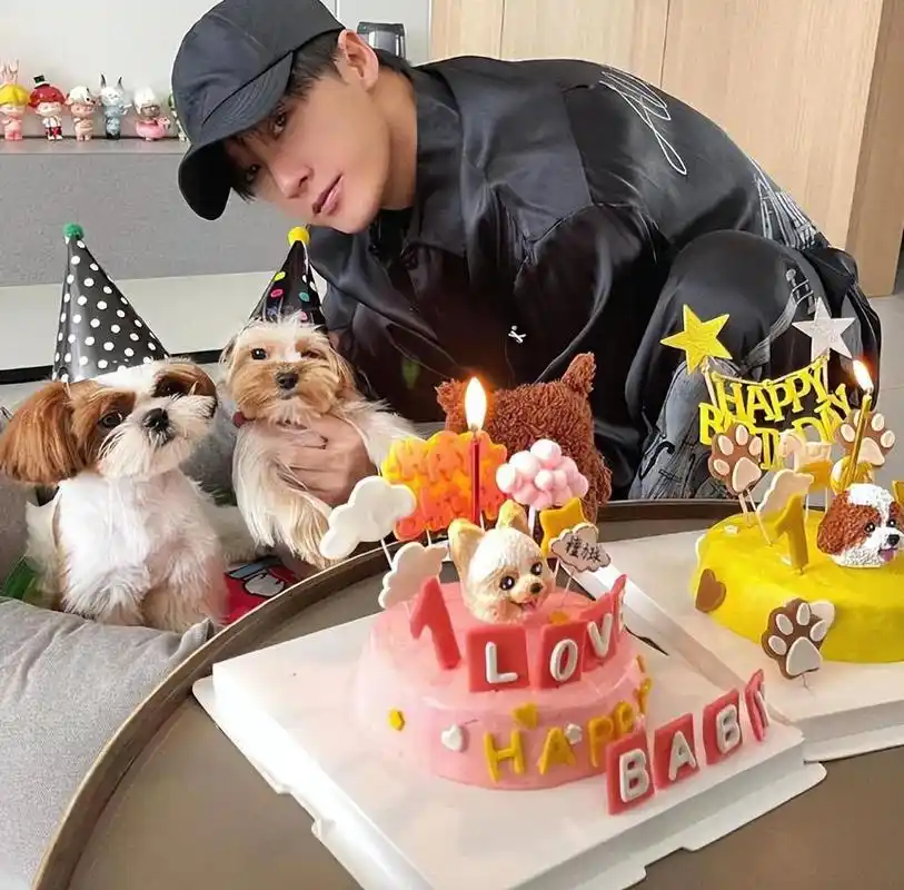 32岁檀健次的"豪宅"火了,家居环境温馨,惬意,没有一丝俗气,真让人羡慕