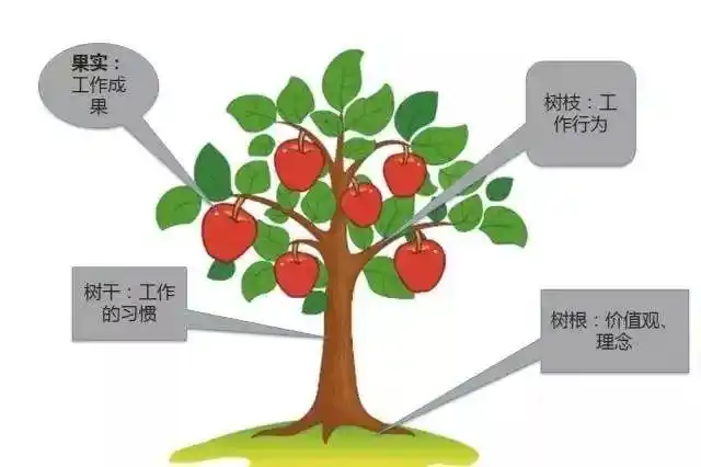 做一棵永远成长的苹果树