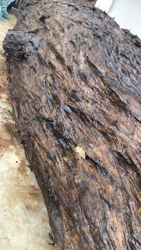 千年乌木金丝楠——神奇的风水木