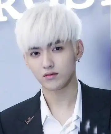 吴亦凡白色桃心发型男桃心发型短发