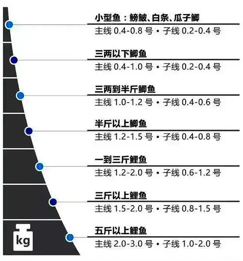 尤其是野钓,我们准备的子线,不是粗了,就是细了,大部分情况下是不合适