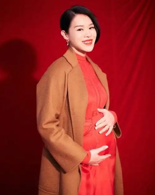 明星孕妇装(明星怀孕服装穿搭) - 月牙知识库