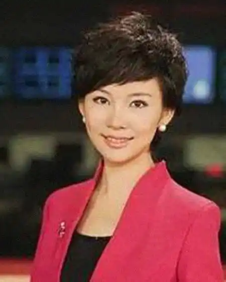 杨阳(女主持) 简历 - 名人简历