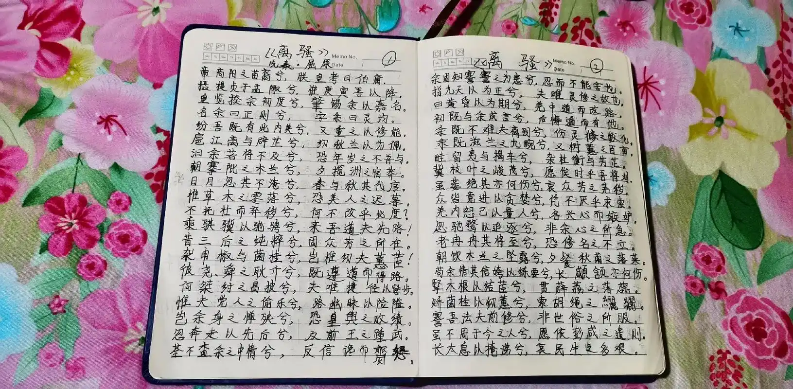 手抄《离骚》#《离骚》是中国战国时期诗人屈原创作的诗篇,是中 - 抖