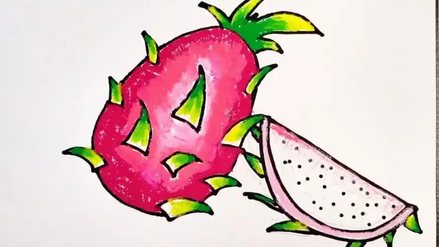 美味火龙果简笔画教程