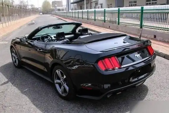 gt车标的车,车后面gt车标是什么车