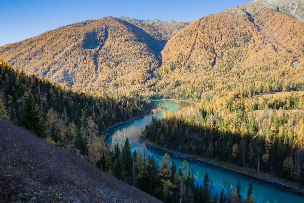 【喀纳斯湖】#原创摄影 #记录旅游足迹 #一起享受大自然的美 - 抖音